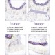 With Puji Letters and Poems-Where Irises Whisper SP JSK One Piece and Sets(Pre-Order/Full Payment Without Shipping)